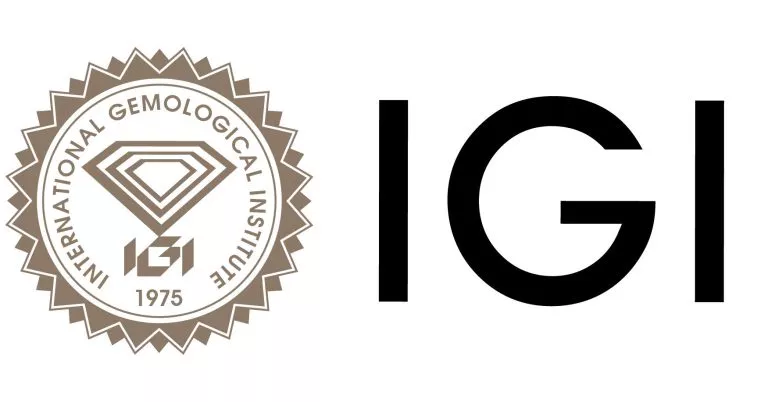 לוגו IGI